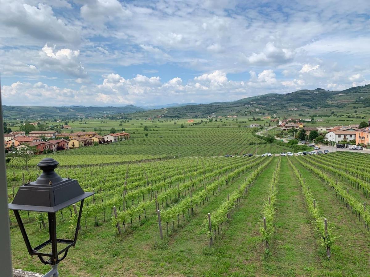 Soave House Alle Vigne-2-Luxury Stay 外观 照片